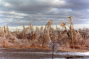 Damage done to power lines in 1998 ice storm